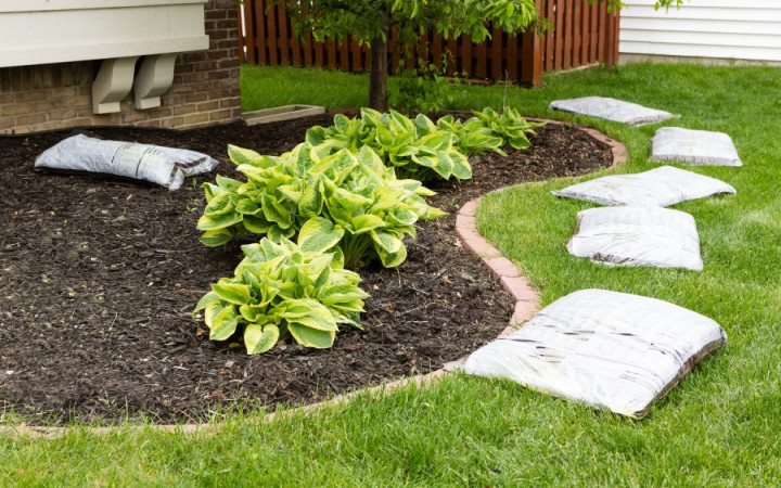 mulch mound 